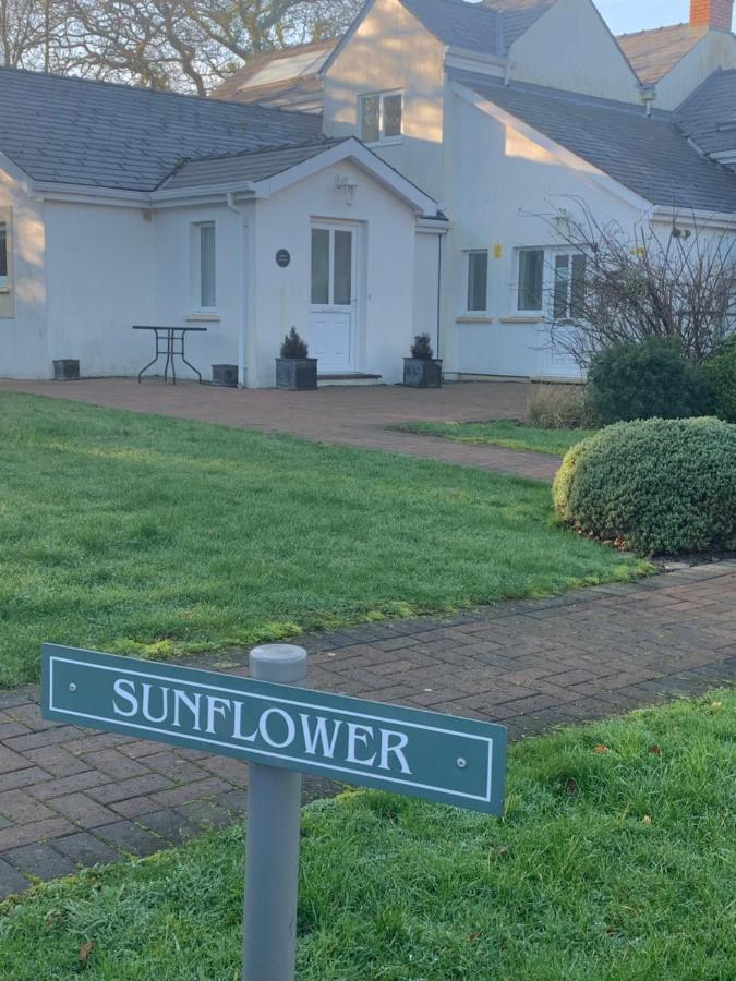 Sunflower Apartment, Family Accommodation Near Tenby In Pembrokeshire Exterior photo